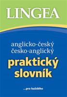 Anglicko-český a česko-anglický Praktický slovník - kolektiv autorů