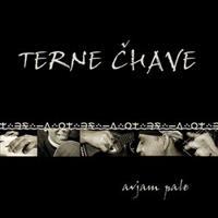 Avjam Pale - Terne Čhave