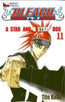 Bleach 11: A Star and a Stray Dog - Tite Kubo