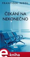 Čekání na nekonečno - František Niedl