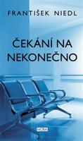 Čekání na nekonečno - František Niedl