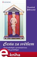 Cesta za světlem - František Zábranský