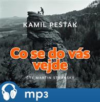 Co se do vás vejde, mp3 - Kamil Pešťák