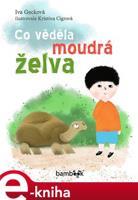 Co věděla moudrá želva - Iva Gecková