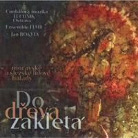 Do dřeva zakletá - Ensemble Flair, CM Technik Ostrava