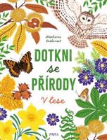 Dotkni se přírody: V lese - Stéphanie Desbenoit