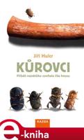 Kůrovci - Jiří Hulcr