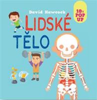 Lidské tělo 10x Pop Up - David Hawcock