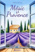 Měsíc v Provence - Gillian Harvey