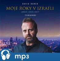 Moje roky v Izraeli, mp3 - David Borek