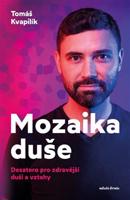 Mozaika duše - Tomáš Kvapilík