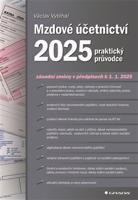 Mzdové účetnictví 2025 - kolektiv, Václav Vybíhal