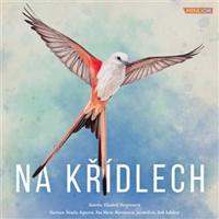 Na křídlech - společenská hra