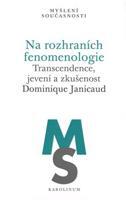 Na rozhraních fenomenologie - Dominique Janicaud