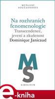 Na rozhraních fenomenologie - Dominique Janicaud