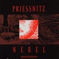 Nebel - Priessnitz