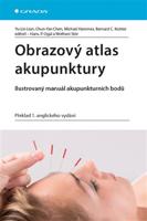 Obrazový atlas akupunktury - Bernard C. Kolster, Michael Hammes, Chun-Yan Chen, Yu-Lin Lian