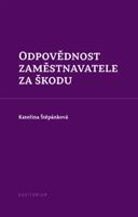 Odpovědnost zaměstnavatele za škodu - Kateřina Štěpánková