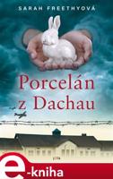 Porcelán z Dachau - Sarah Freethyová