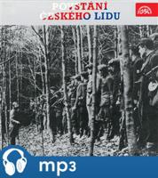 Povstání českého lidu - Jan Ondrovčák, Vasil Kiš, Karel Karas, Adolf Starý, Oldřich Němeček, Antonín Hradilek, Valentín Gába, Josef Mašek, Vladimír Putík