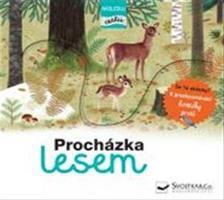 Procházka lesem - následuj cestu