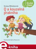 Q a kouzelná prakniha - Ivona Březinová