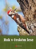 Rok v českém lese - Julius Klejdus