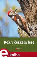 Rok v českém lese - kolektiv