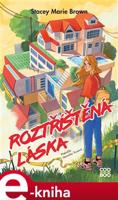 Roztříštěná láska - Stacey Marie Brown