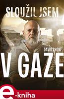 Sloužil jsem v Gaze - David Shorf