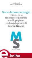 Sono-fenomenologie - Martin Nitsche