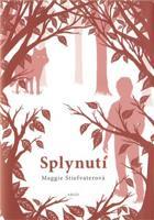 Splynutí - Maggie Stiefvaterová