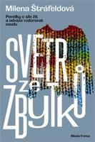 Svetr ze zbytků - Milena Štráfeldová