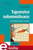 Tajemství sebemotivace - Reinhold Stritzelberger