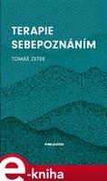 Terapie Sebepoznáním - Tomáš Zetek