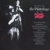 The Best Of The Waterboys &apos;81-&apos;90 - The Waterboys