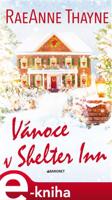 Vánoce v Shelter Inn - RaeAnne Thayne