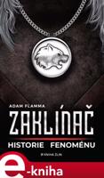 Zaklínač – historie fenoménu - Adam Flamma