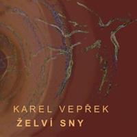 Želví sny - Karel Vepřek